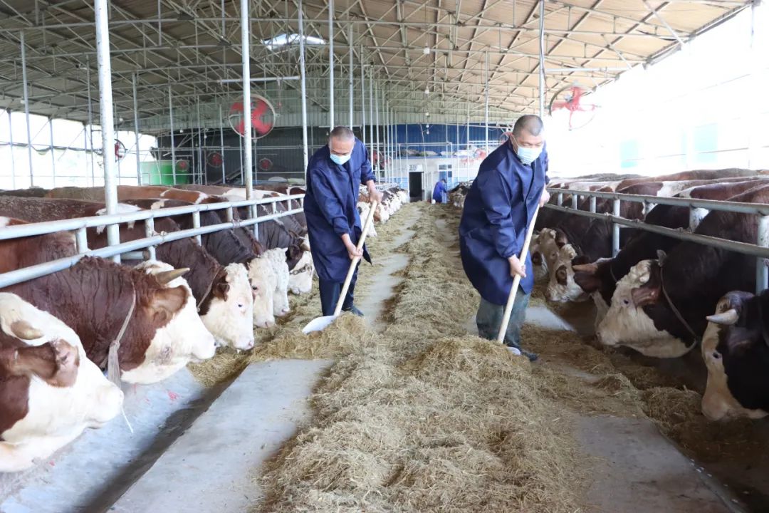 首页| w66集团中国最老牌官方网站