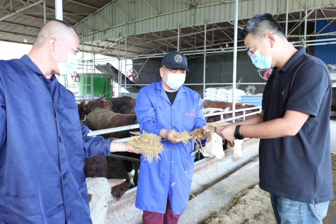 首页| w66集团中国最老牌官方网站