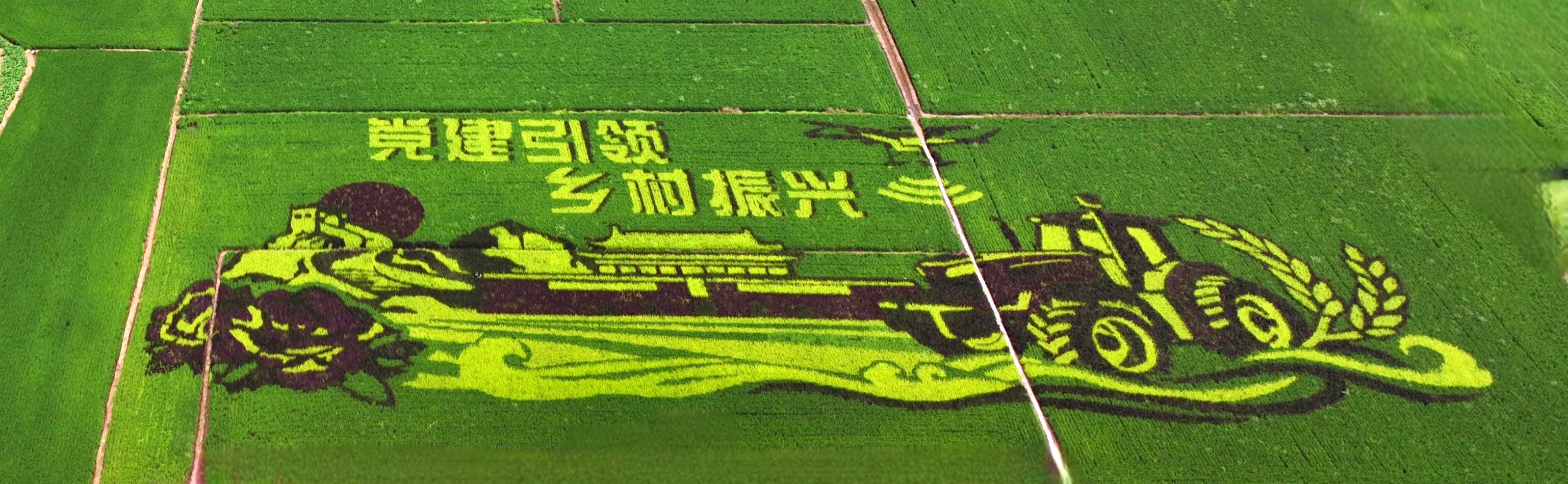首页| w66集团中国最老牌官方网站