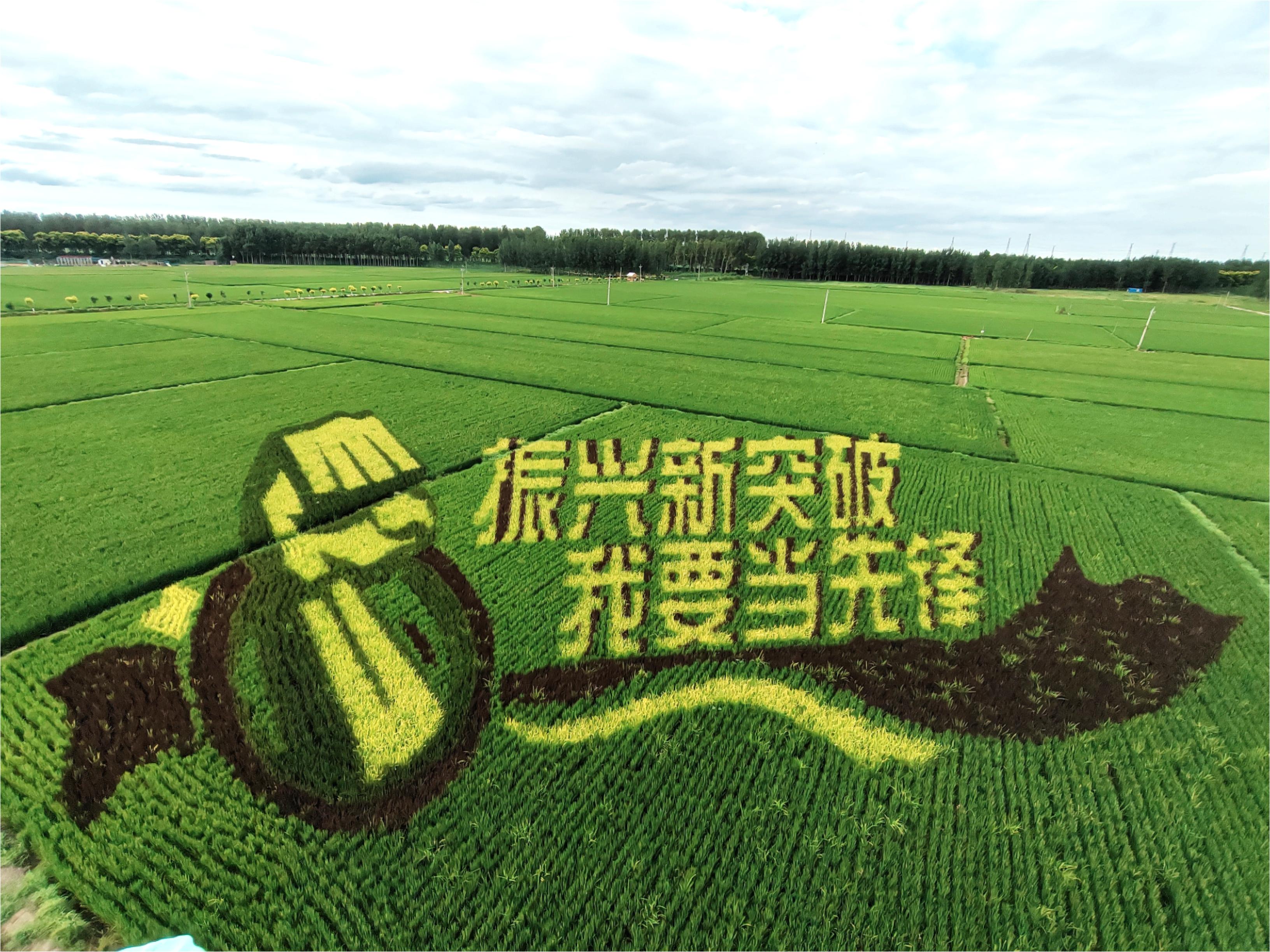 首页| w66集团中国最老牌官方网站