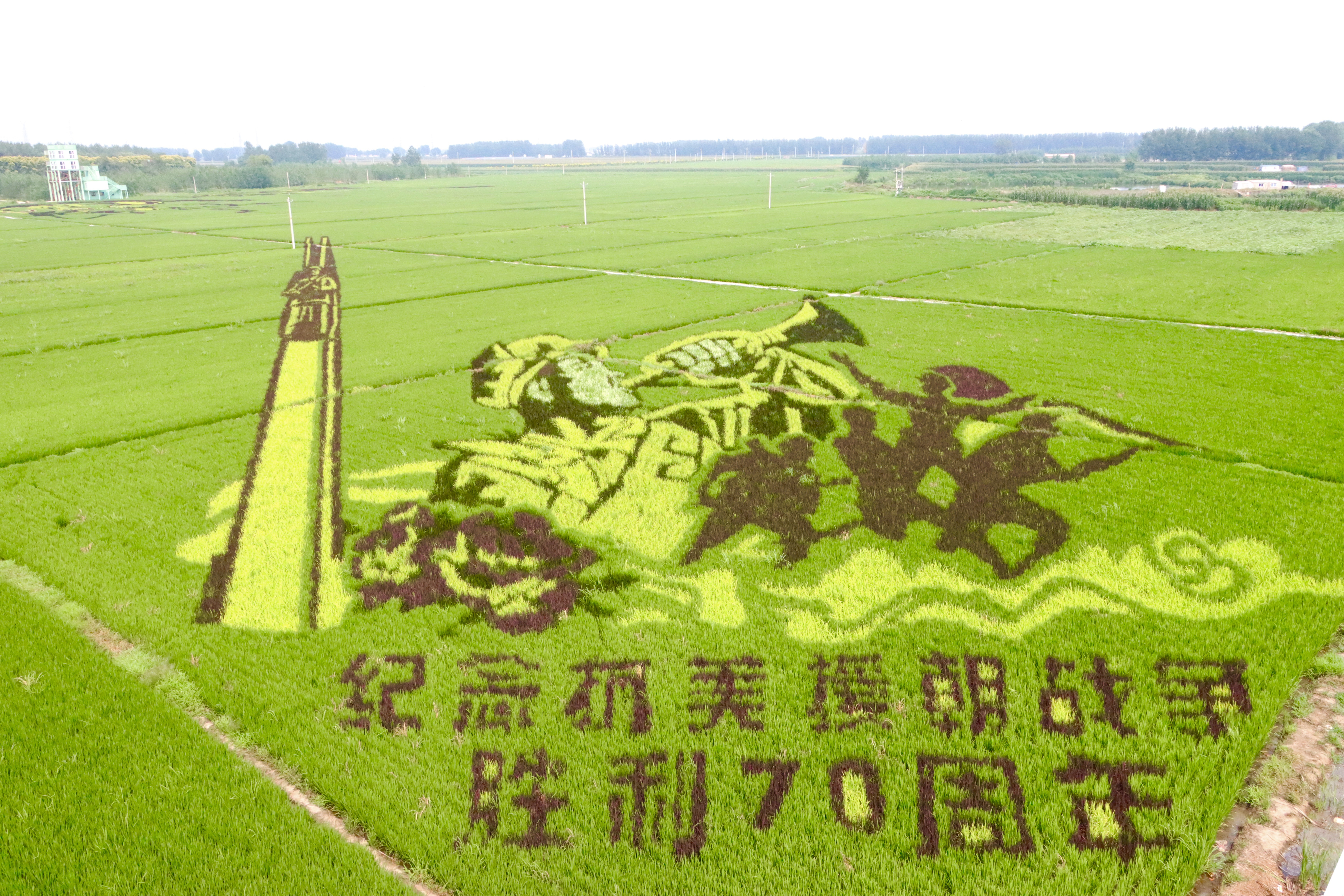 首页| w66集团中国最老牌官方网站
